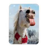 Sneeuwvlokken bij het vangen van paarden magneet (Verticaal)