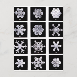 Sneeuwvlokken Briefkaart