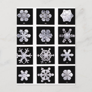 Sneeuwvlokken Briefkaart