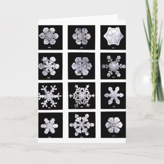 Sneeuwvlokken Feestdagen Kaart