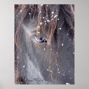 Sneeuwvlokken op Vell Pony Poster