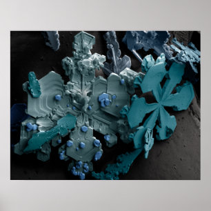 Sneeuwvlokken Poster