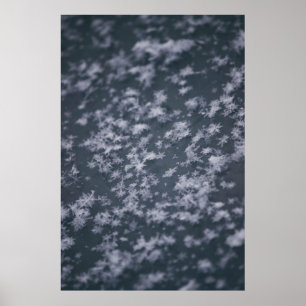 Sneeuwvlokken Poster