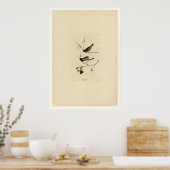 Sneeuwvogel Poster (Keuken)