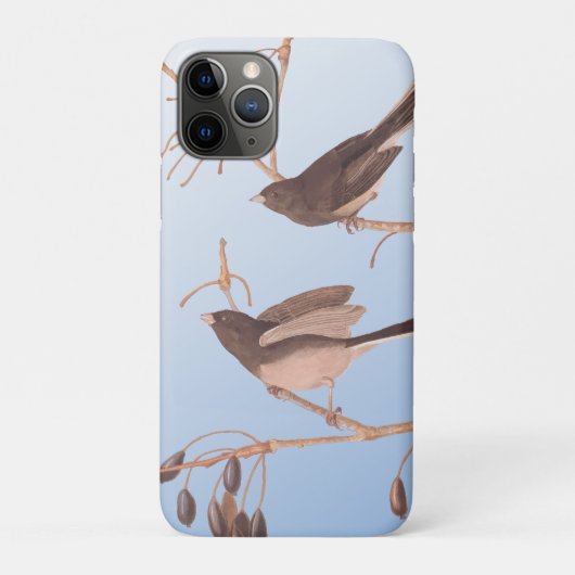 Sneeuwvogels op een kale wintertak Case-Mate iPhone case (Achterkant)