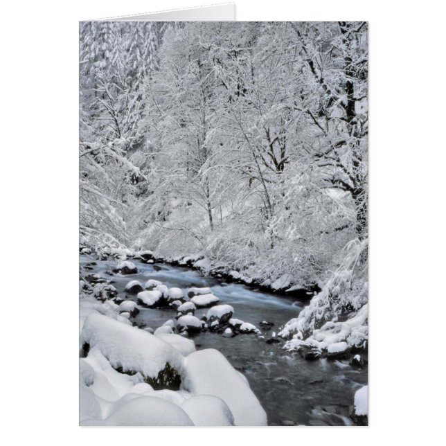 Sneeuwwit stroompje landschappelijk, Oregon (Voorkant)