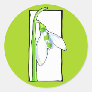 Sneeuwwitgroen ticker ronde sticker