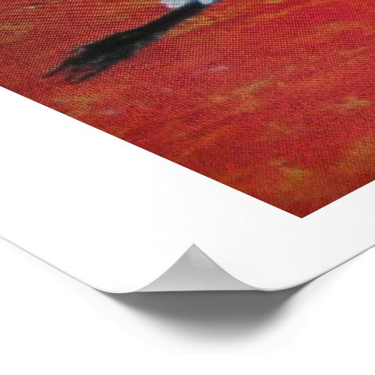 Sneeuwwitzonsondergang Poster (Hoek)