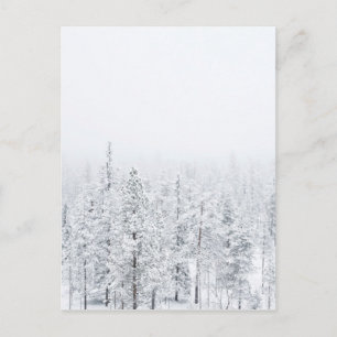 Sneeuwwoud Briefkaart