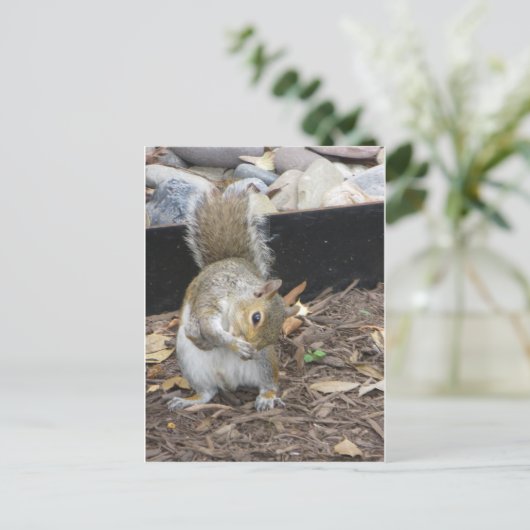 Sneezing Squirrel Briefkaart (Staand voorkant)