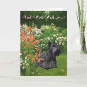 Snel-beterschapwensen voor Scottish Terrier Kaart