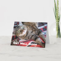Snel Cat ophalen