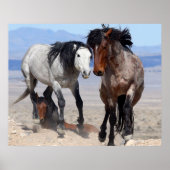 Snel en furieus poster (Voorkant)