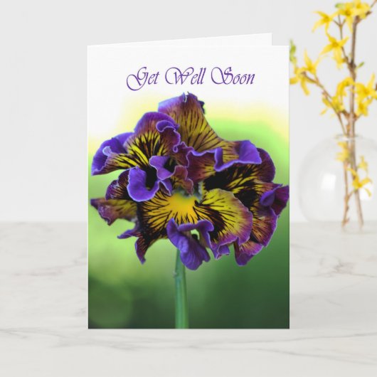 Snel gezond worden - Frilly Daisy Flower Kaart (Gele Bloem)