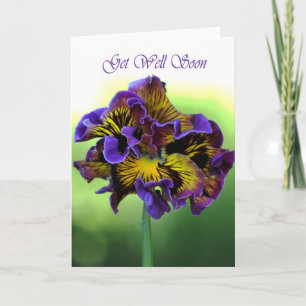 Snel gezond worden - Frilly Daisy Flower Kaart