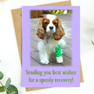 Snel Herstel Beterschap Spaanse Hond Kaart