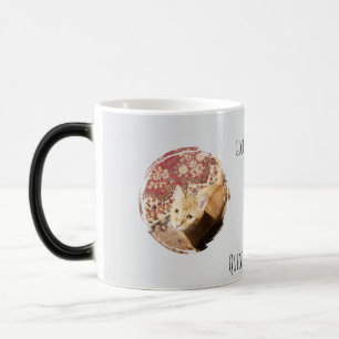Snel over je oordelend, kattenfoto, humor magische mok