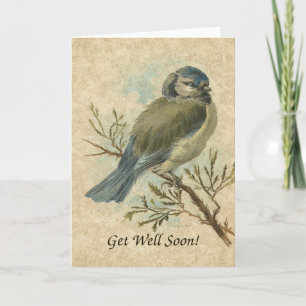 Snel, vogel kaart