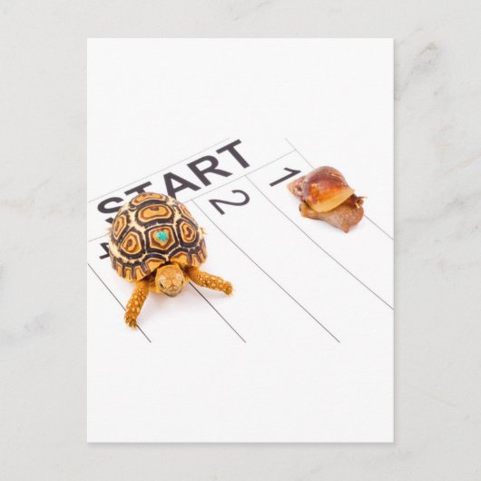 Snelheid Briefkaart (Voorkant)