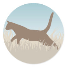 Snelheid van de wind