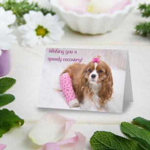 Snelheid Van Herstel Spaniel Kaart