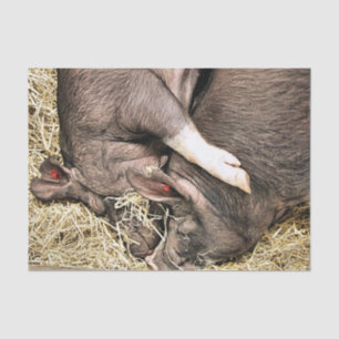 SNELHEIDSVARKENS TISSUEPAPIER