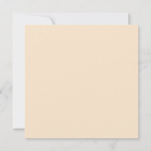 Snellast Kaart (Achterkant)