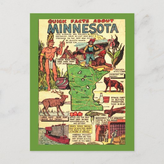 Snelle feiten over Minnesota Briefkaart (Voorkant)