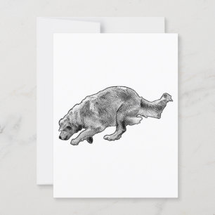 Snelle groet in fijne stippen briefkaart