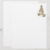 SNELLER DE KNOP MET KARROT, BUNNY NOTES (Voorkant / Achterkant)