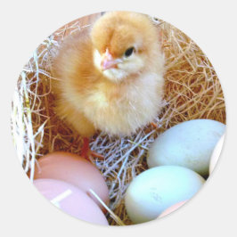 Snellere gelijksoortige kaart ronde sticker