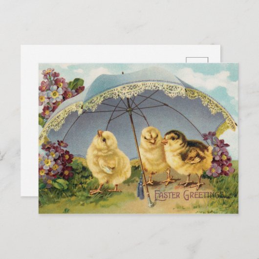 Snellere groeten briefkaart (Voorkant / Achterkant)