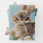 Snellere papierplatte set van 3 vellen (In situ)