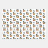 Snellere Springtime Inpakpapier Vel (Voorkant 2)