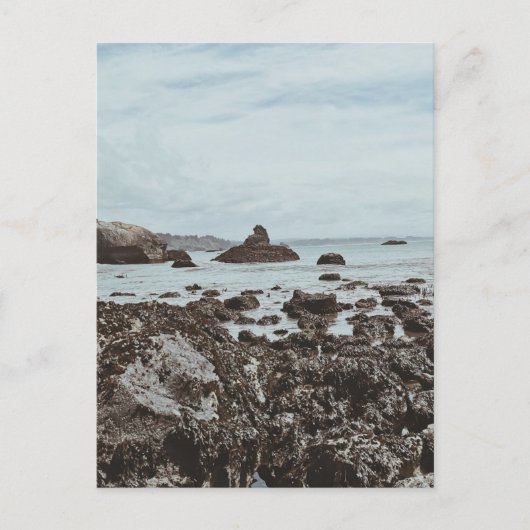 Snelweg 1 Rocky Beach Briefkaart (Voorkant)