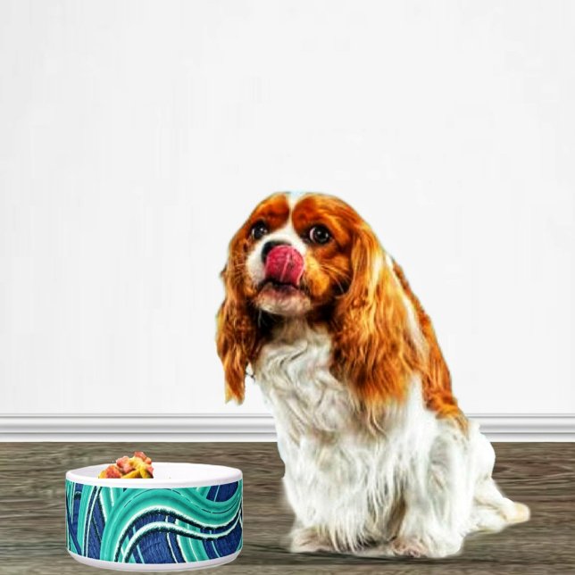 Snelwegen Voerbakje (A lovely bowl for your favorite pet to feed from!)