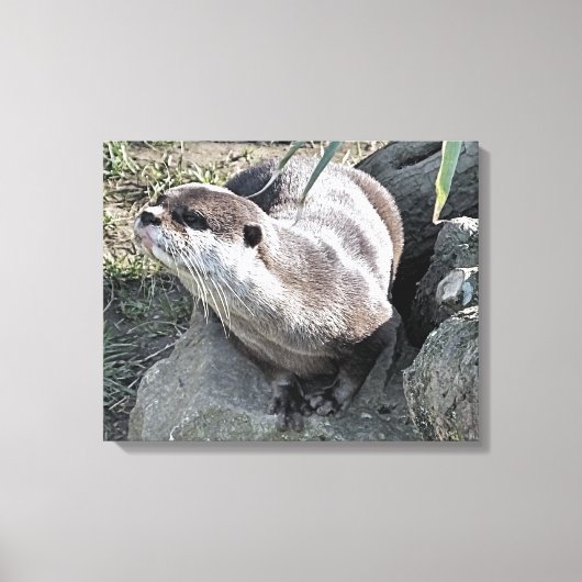 SNETTER CANVAS AFDRUK (Voorkant)