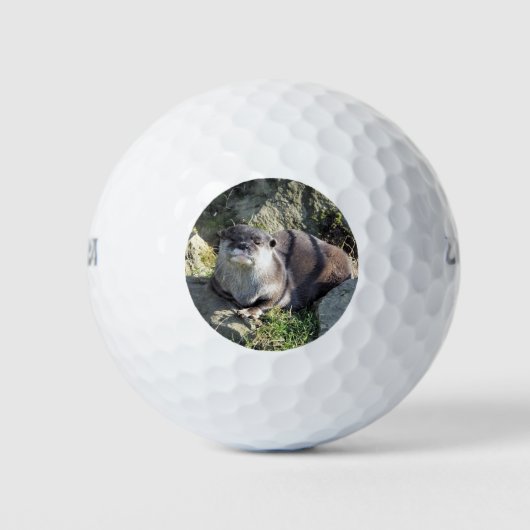SNETTER GOLFBALLEN (Voorkant)