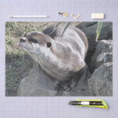 SNETTER TISSUEPAPIER (Craft)