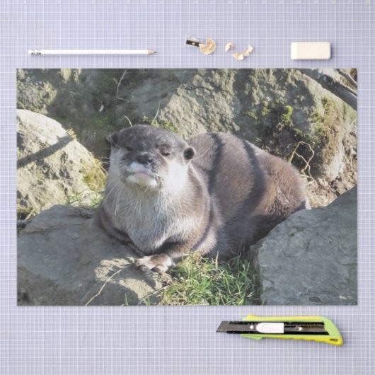 SNETTER TISSUEPAPIER (Craft)