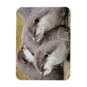 SNETTERS MAGNEET (Verticaal)