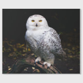 Sneusuil voor de winter cadeaupapier (Vlak)