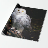 Sneusuil voor de winter cadeaupapier (Uitgerold)