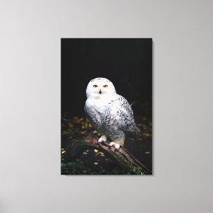 Sneusuil voor de winter canvas afdruk