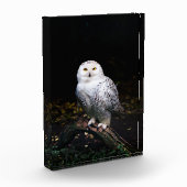 Sneusuil voor de winter fotoblokken (Links)