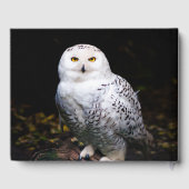 Sneusuil voor de winter gastenboek (Achterkant)