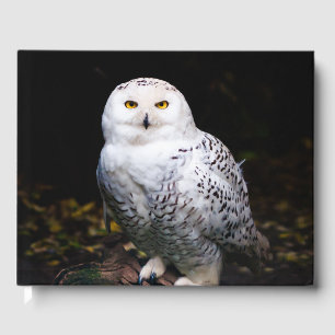 Sneusuil voor de winter gastenboek