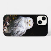 Sneusuil voor de winter iPhone hoesje (Achterkant horizontaal)