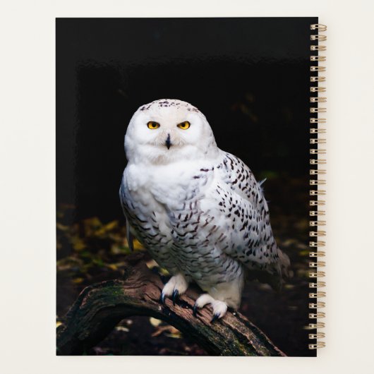 Sneusuil voor de winter planner (Achterkant)