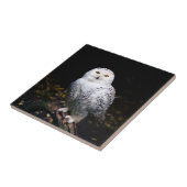 Sneusuil voor de winter tegeltje (Zijkant)